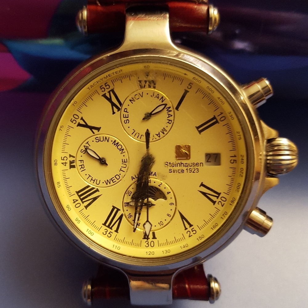 Steinhausen Genuine Leather Water Resistant Watch